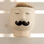 Apartmán Casa Ginebras *