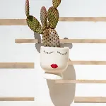 Casa Ginebras * Bari