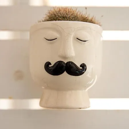 דירה Casa Ginebras *