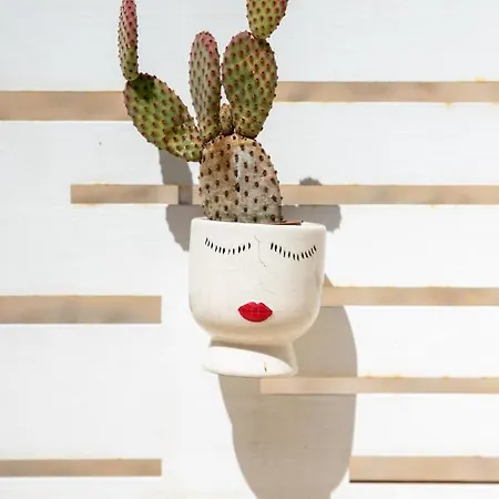 Casa Ginebras * בארי