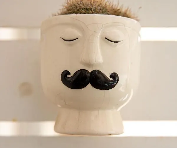 Apartment Casa Ginebras *