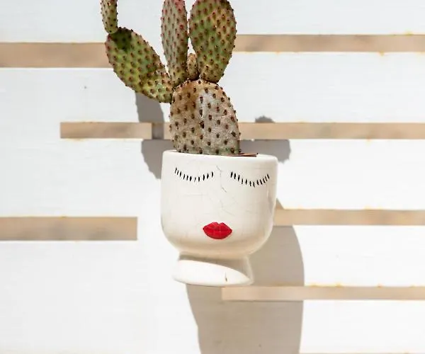 Casa Ginebras * Bari